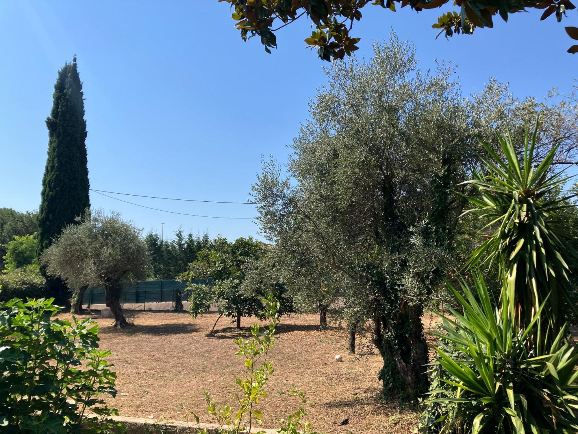 Villa Thyziri Roquefort Les Pins Eksteriør billede